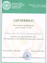 Сертификат 1 — Шамина В.В.