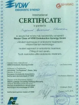 Сертификат 1 — Сафронов В.Е.