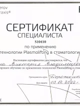Сертификат 2 — Шамина В.В.